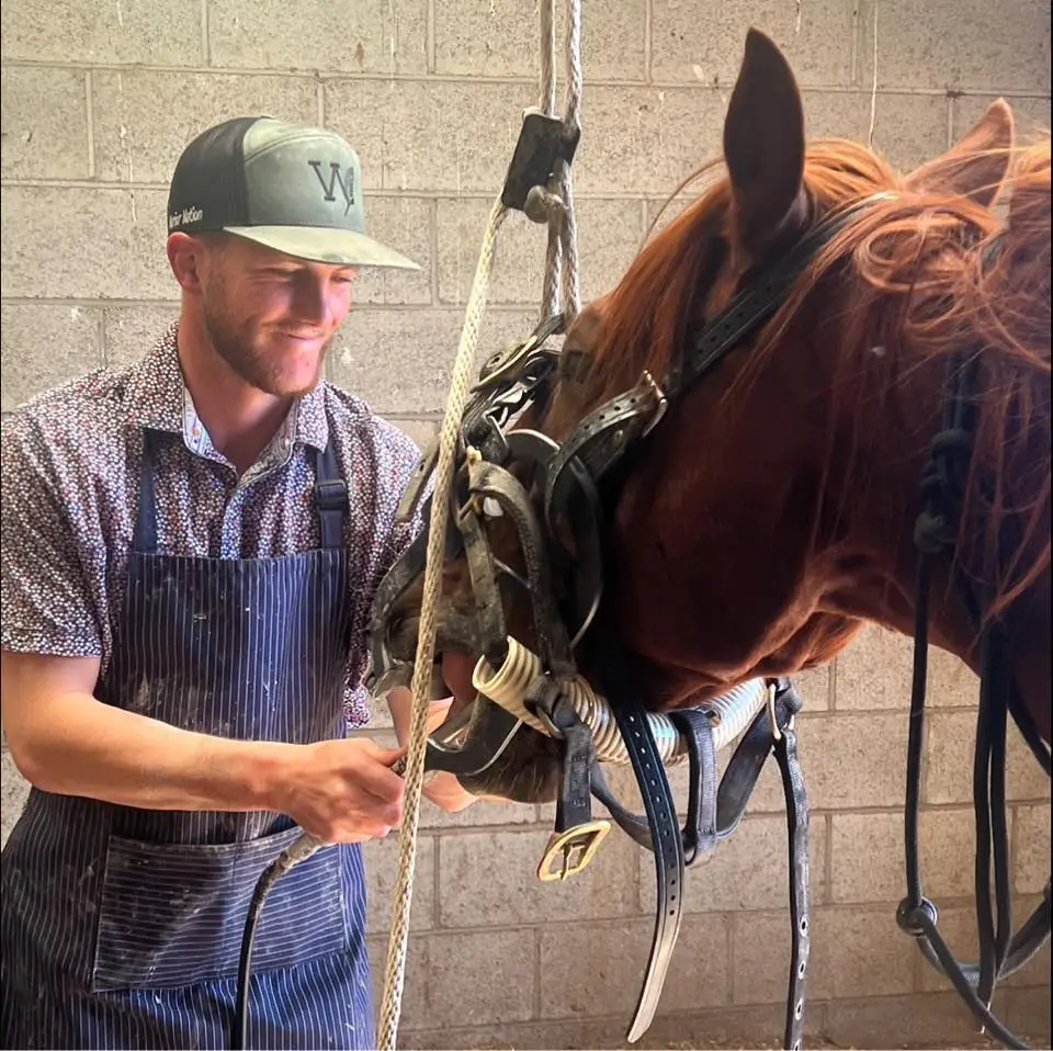 A person in a patterned shirt and apron adjusts a horse's bridle in a stable setting, surrounded by concrete walls