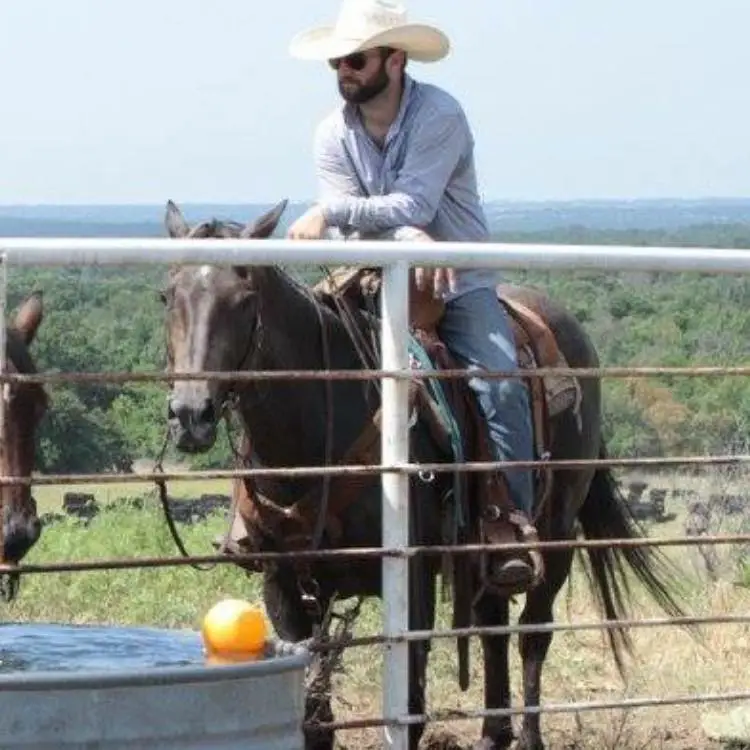 Cayle Cutburth, Certified Equine Dental Practitioner